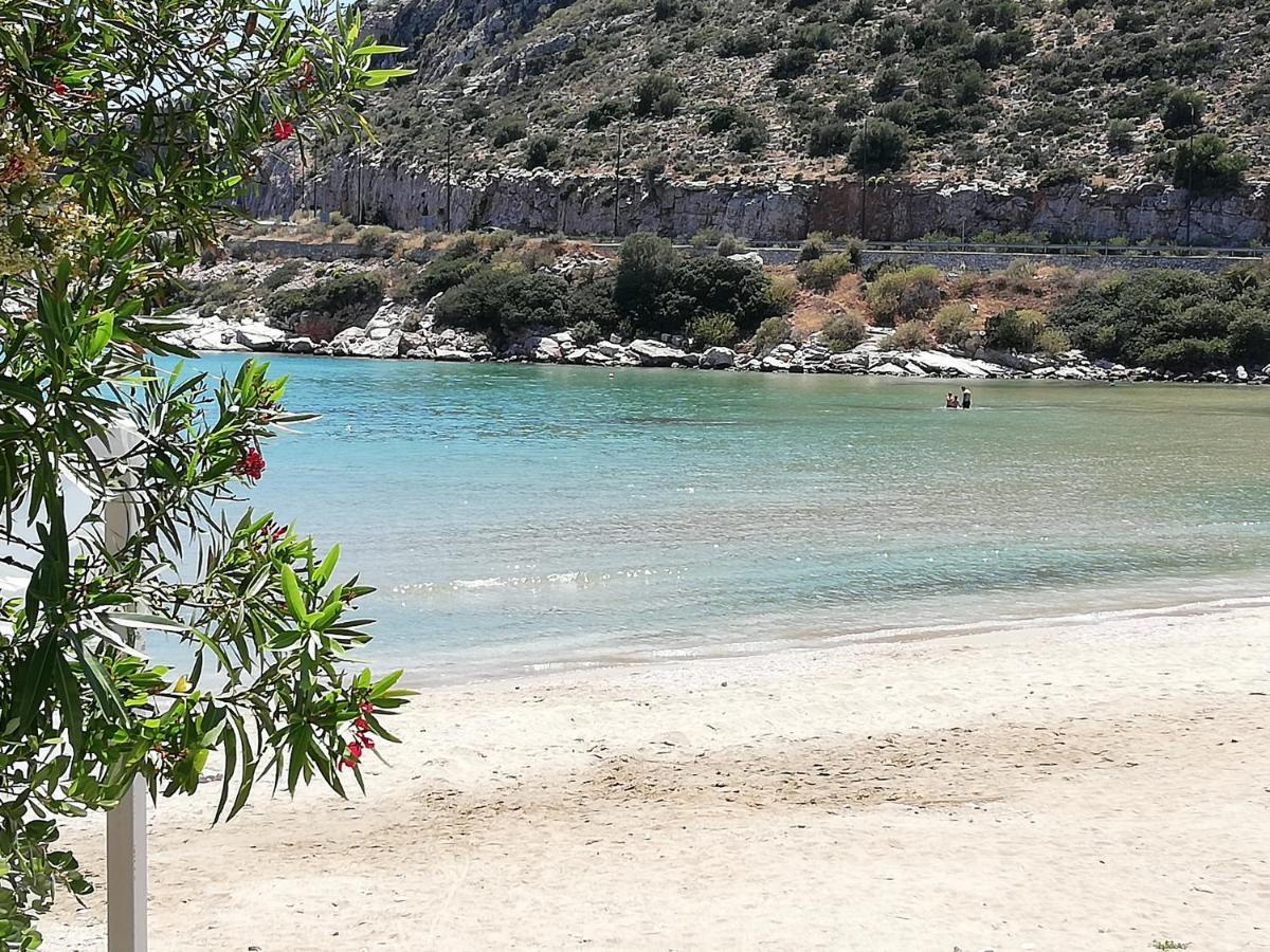 Althea Holiday Studio Agia Marina  المظهر الخارجي الصورة