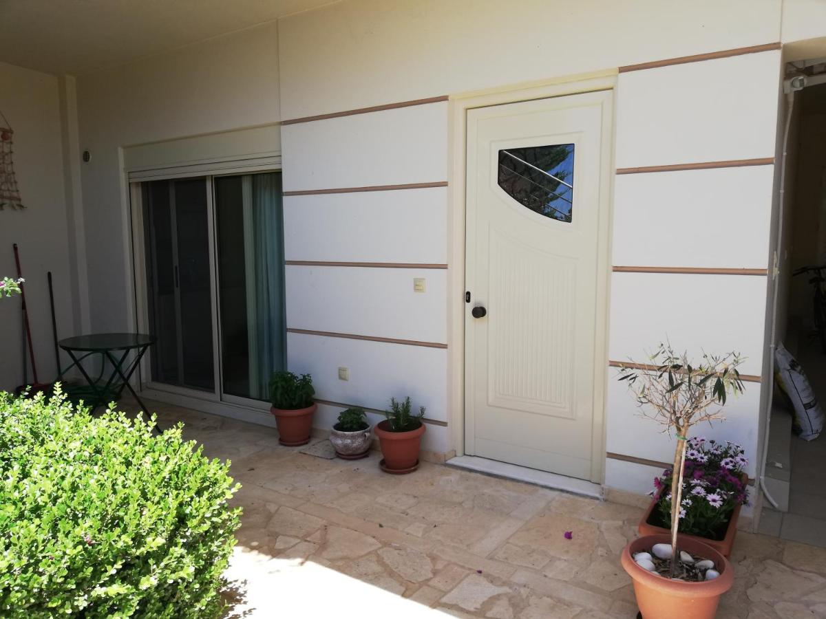 Althea Holiday Studio Agia Marina  المظهر الخارجي الصورة